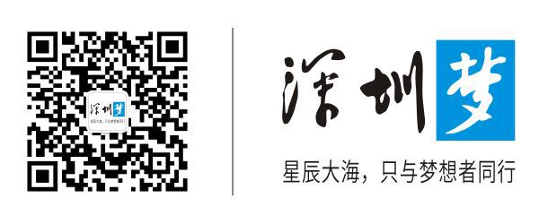 一肖一码一一肖一子深圳仔细释义、解释与落实